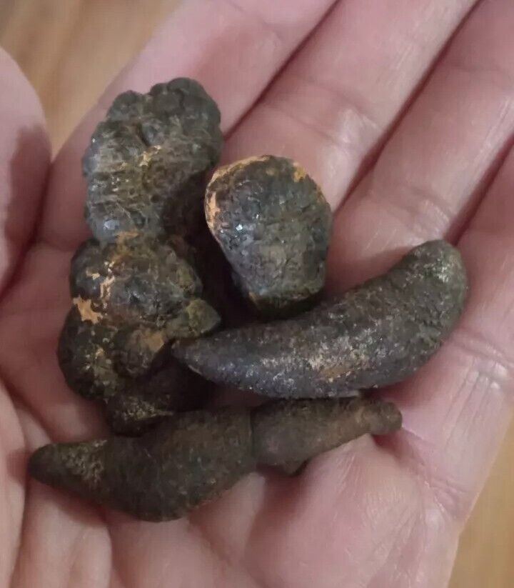 Manure Dinosaur Coprolite Ancient Rock Hard Fossil  Poop Dung Poo Prank 