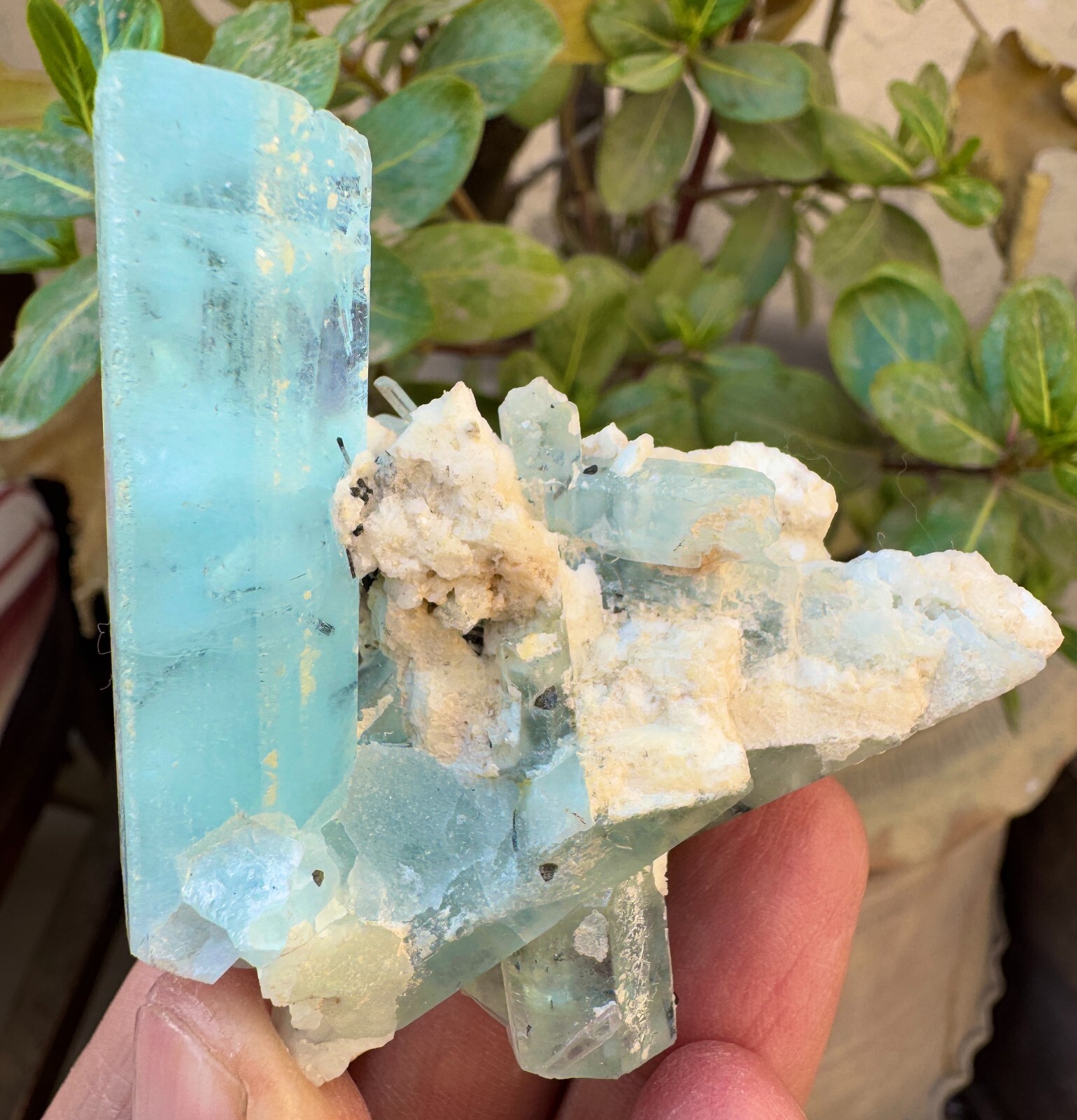 55g-D-Free Combo Aquamarine Bunch w/ Tourmaline Clusters Specimen