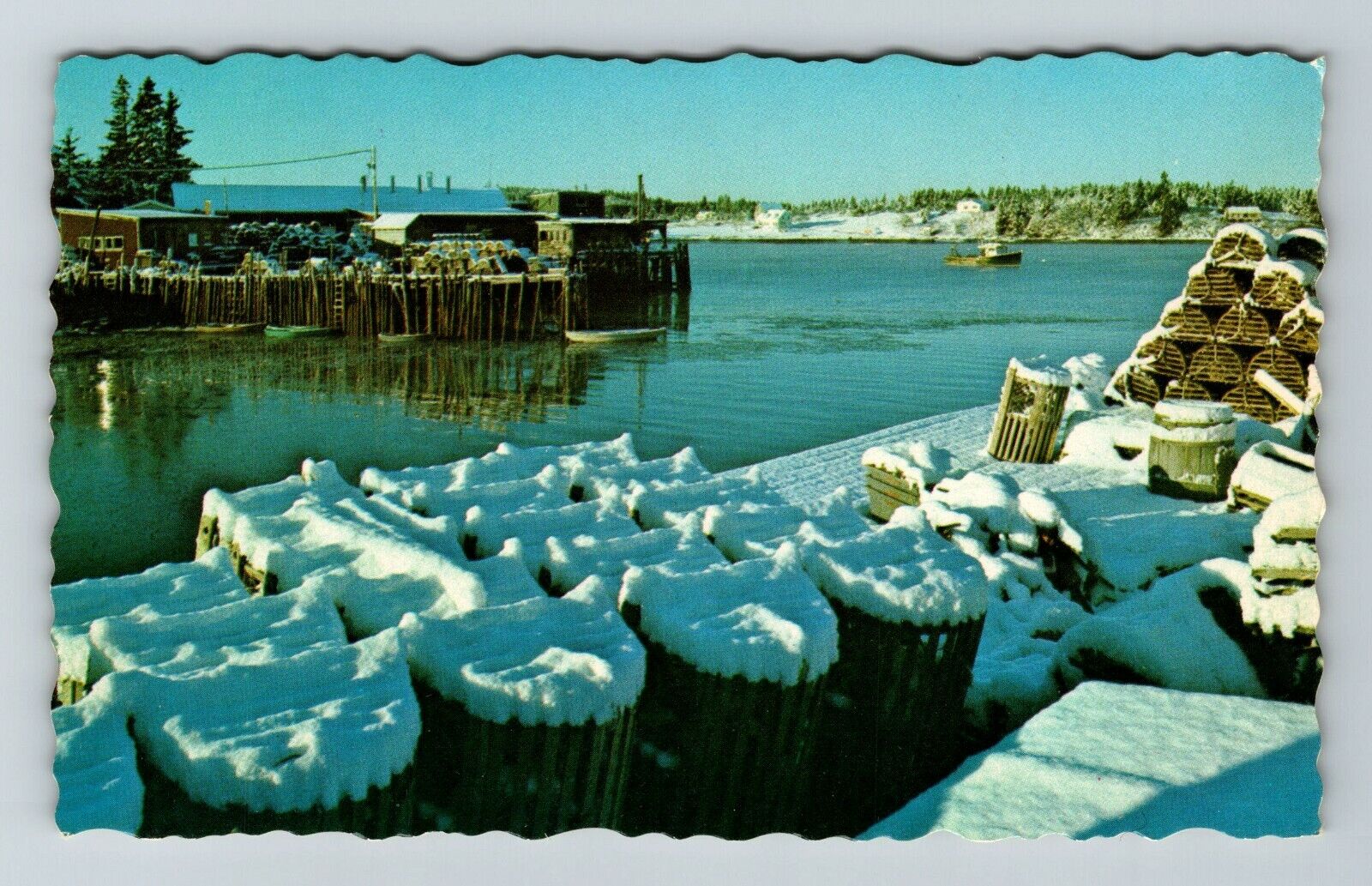 Snow Covered Traps, Maine Harbor  Vintage Souvenir Postcard