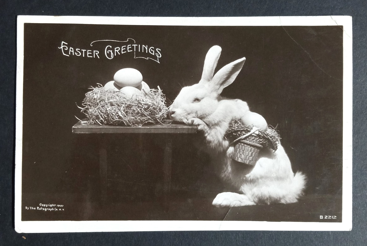RPPC 1907 Easter Postcard Anthropomorphic Rabbit w/ Basket of Eggs Rotograph