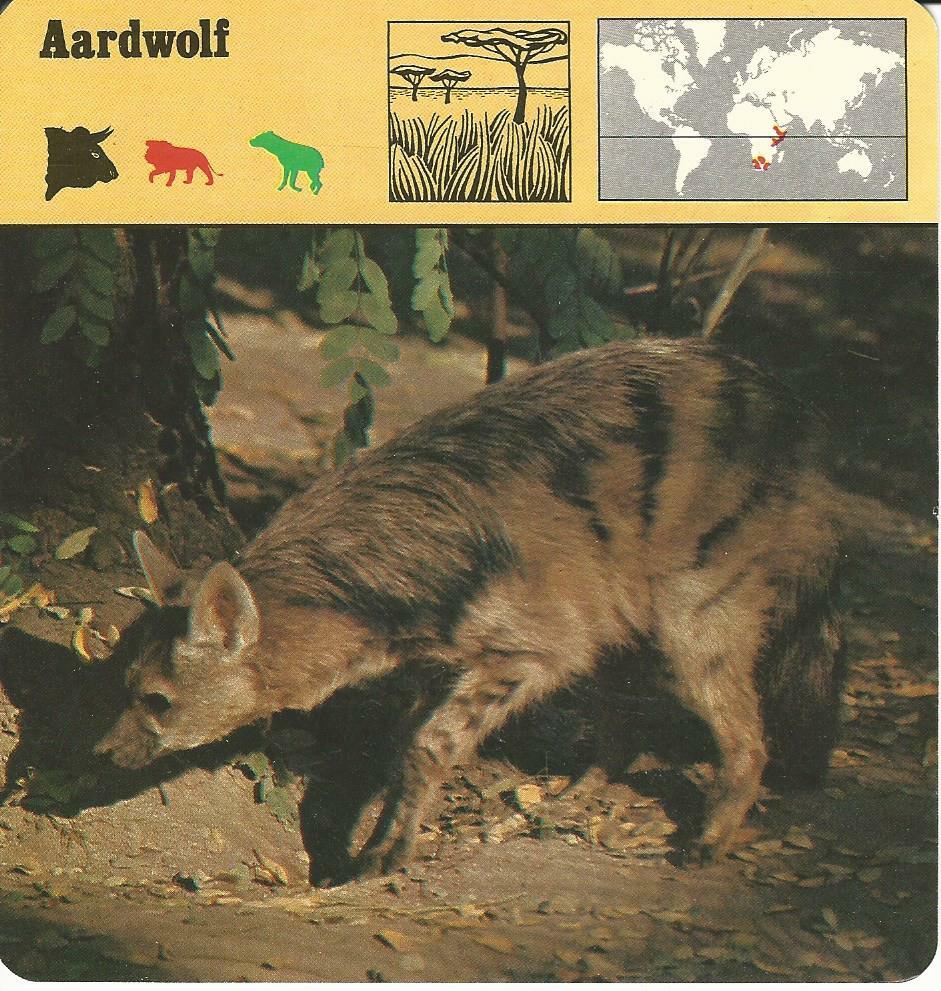 1975 Editions Rencontre, Animals Card, #20.462 Aardwolf