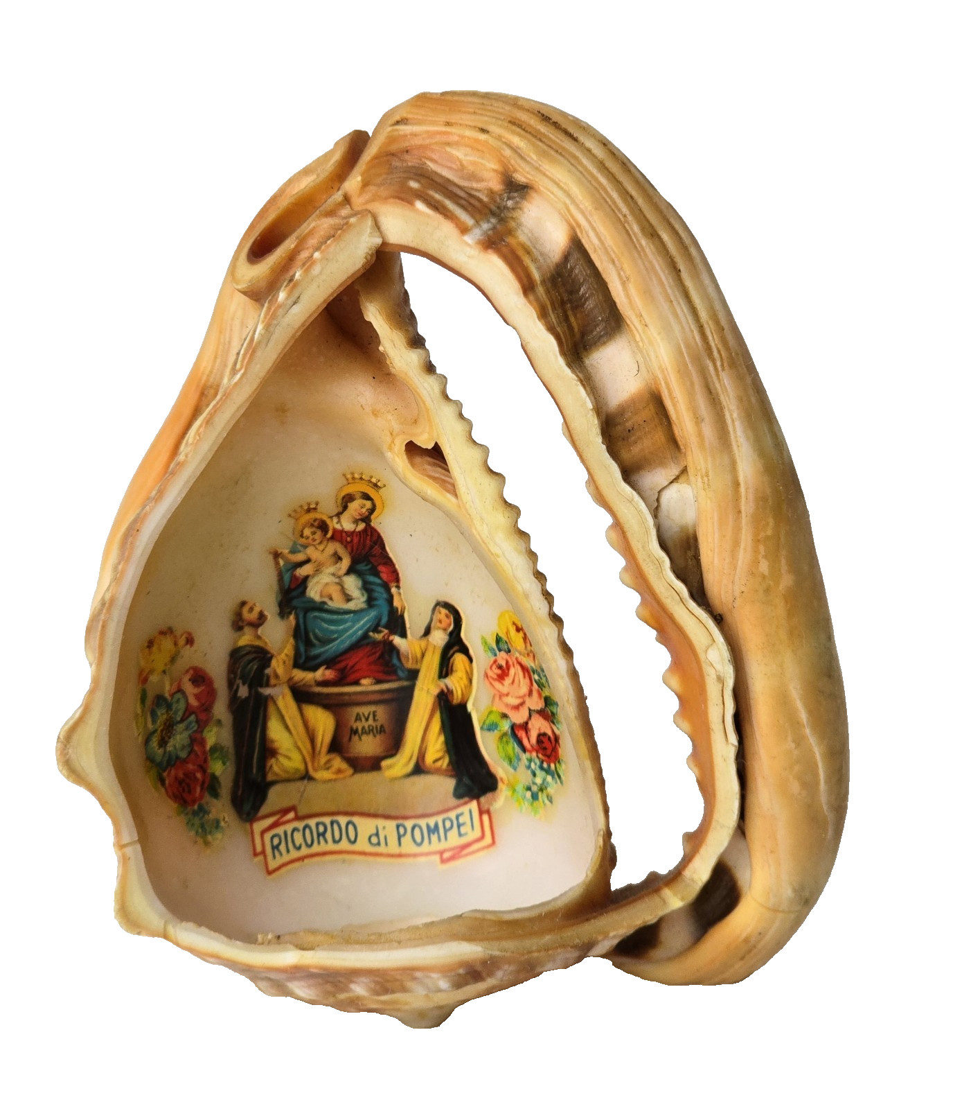 Vintage Carved Conch Shell  Italian Ave Maria Religious Ricordo di Pompei Image