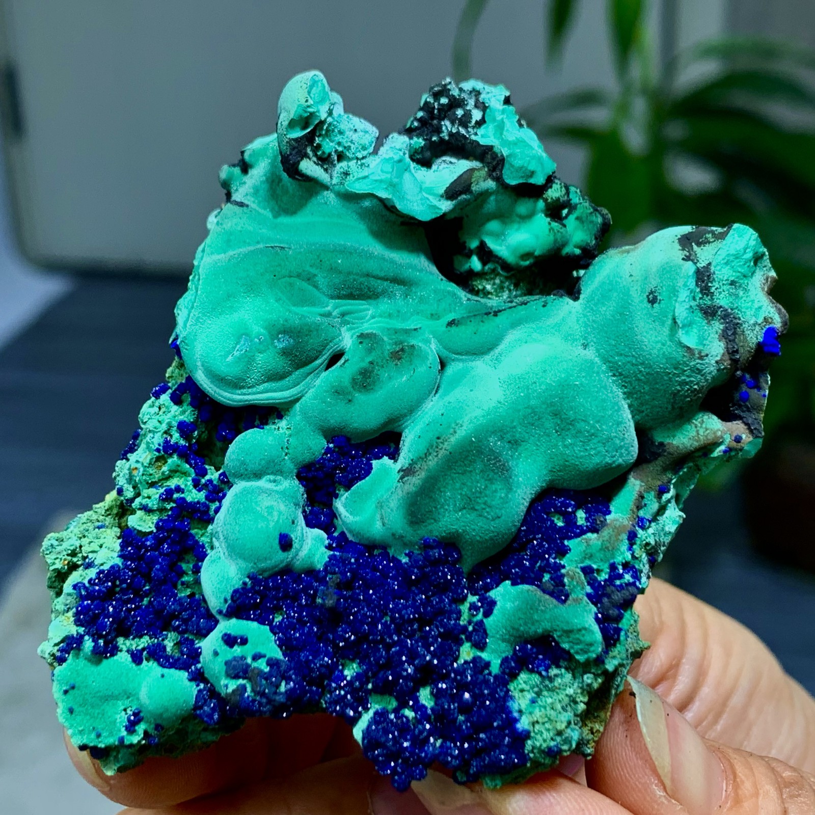125G Best Natural Azurite/Malachite raw Crystal Mineral Specimen
