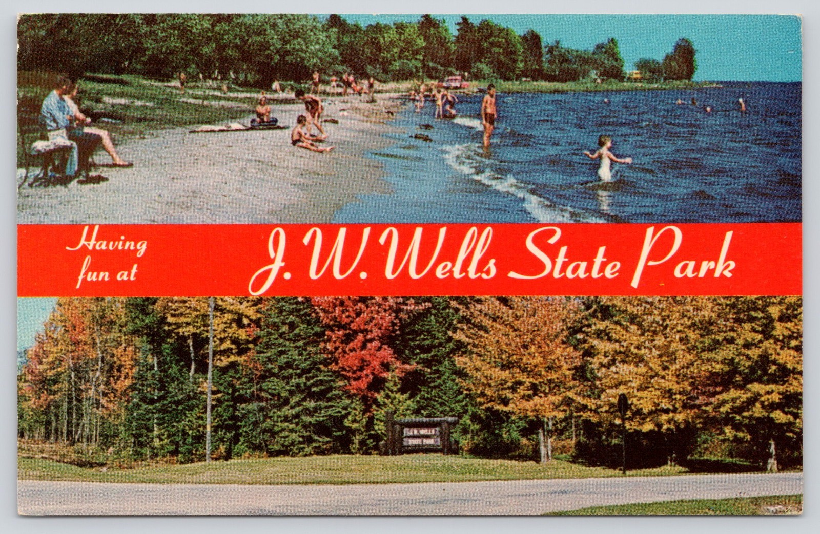 J.W. Wells State Park, Cedar River MI Michigan Postcard 1960s, Swimmers, Beach