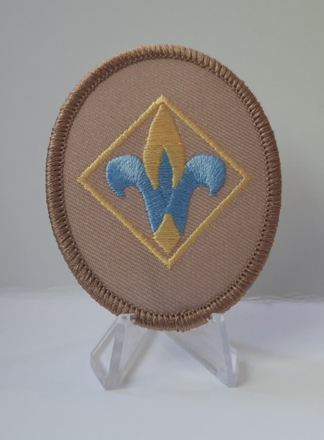 BSA: Cub Scout Webelos Uniform Patch