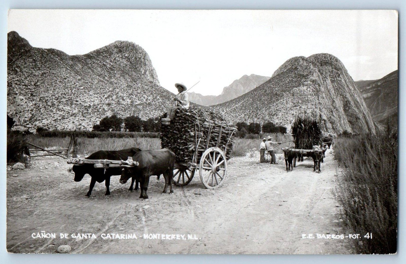 Monterrey Mexico Postcard Canon De Santa Catarina c1910 Antique RPPC Photo