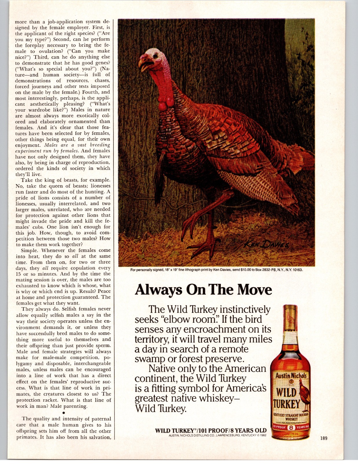 Vintage 1982 Wild Turkey Bourbon Print Ad Ken Davies Turkey Artwork Wall Decor Vintage 1982 Wild Turkey Bourbon Print Ad Ken Davies Turkey Artwork Wall Decor