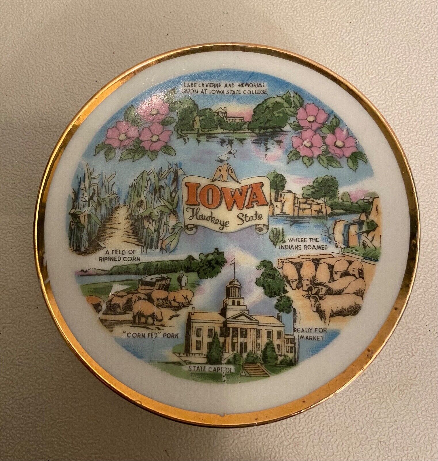 Iowa Collector Plate Vintage Travel Souvenir 10\