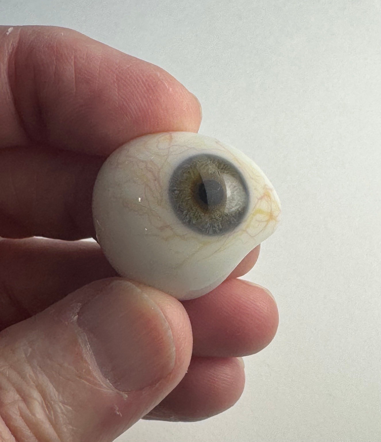 Antique German hand-blown human prosthetic glass eye.  E10