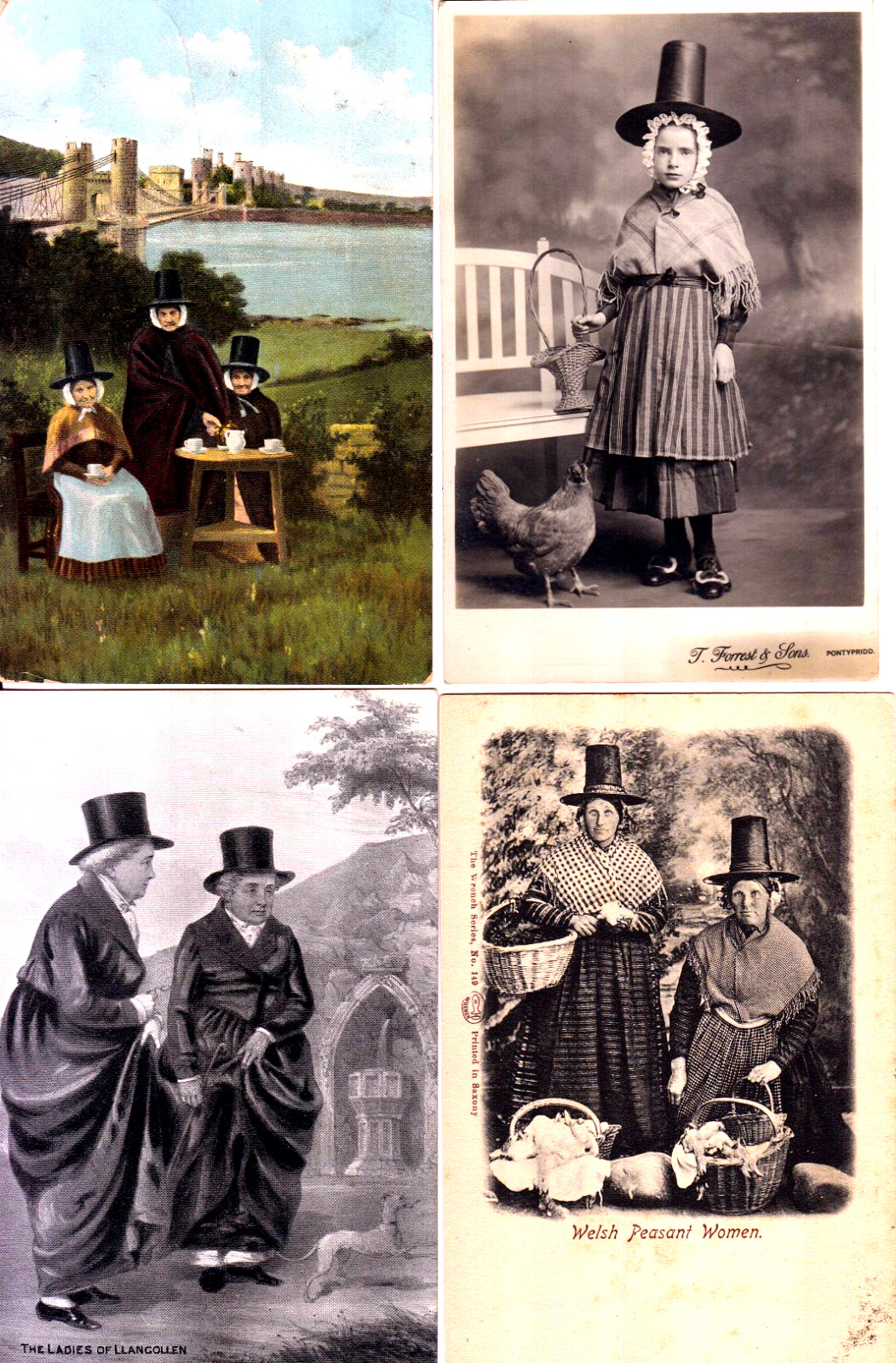 Welsh Women in Trad. Clothing, 7, 1904-+, at Market with Baskets, Girl/Chicken,+ Welsh Women in Trad. Clothing, 7, 1904-+, at Market with Baskets, Girl/Chicken,+