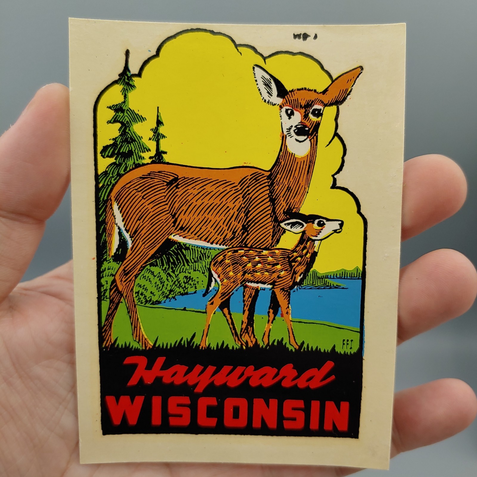 VTG HAYWARD WISCONSIN DECALCO LUGGAGE AUTO WATER TRAVEL DECAL SOUVENIR 1950\'S