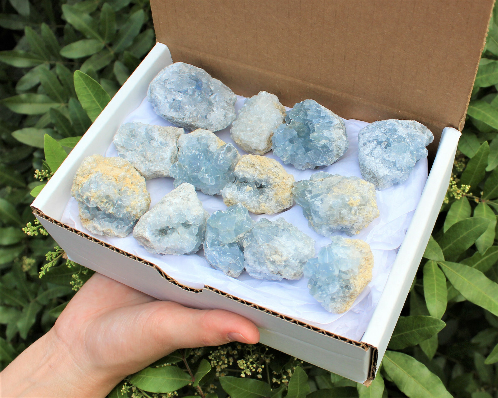 Natural Celestite Clusters SMALL - Wholesale Bulk 'A' Grade: 10-15 Piece Bulk 