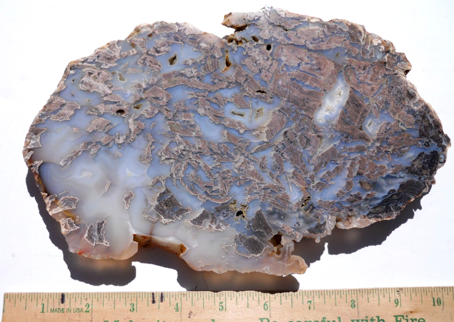 CROOKED RIVER / PAULINA, OREGON 10 X 6 INCH SLAB WITH WOOD BRECCIA, BLUE COLOR
