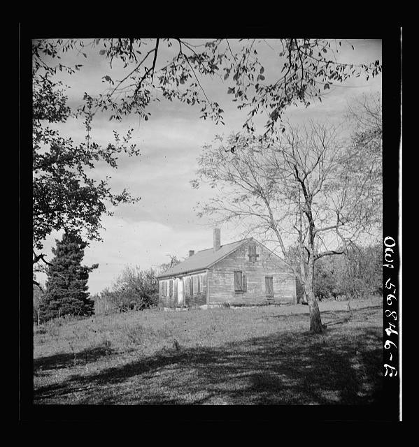 Photo:1930s Rural Farmhouse House Tree Landscape Historical Photo