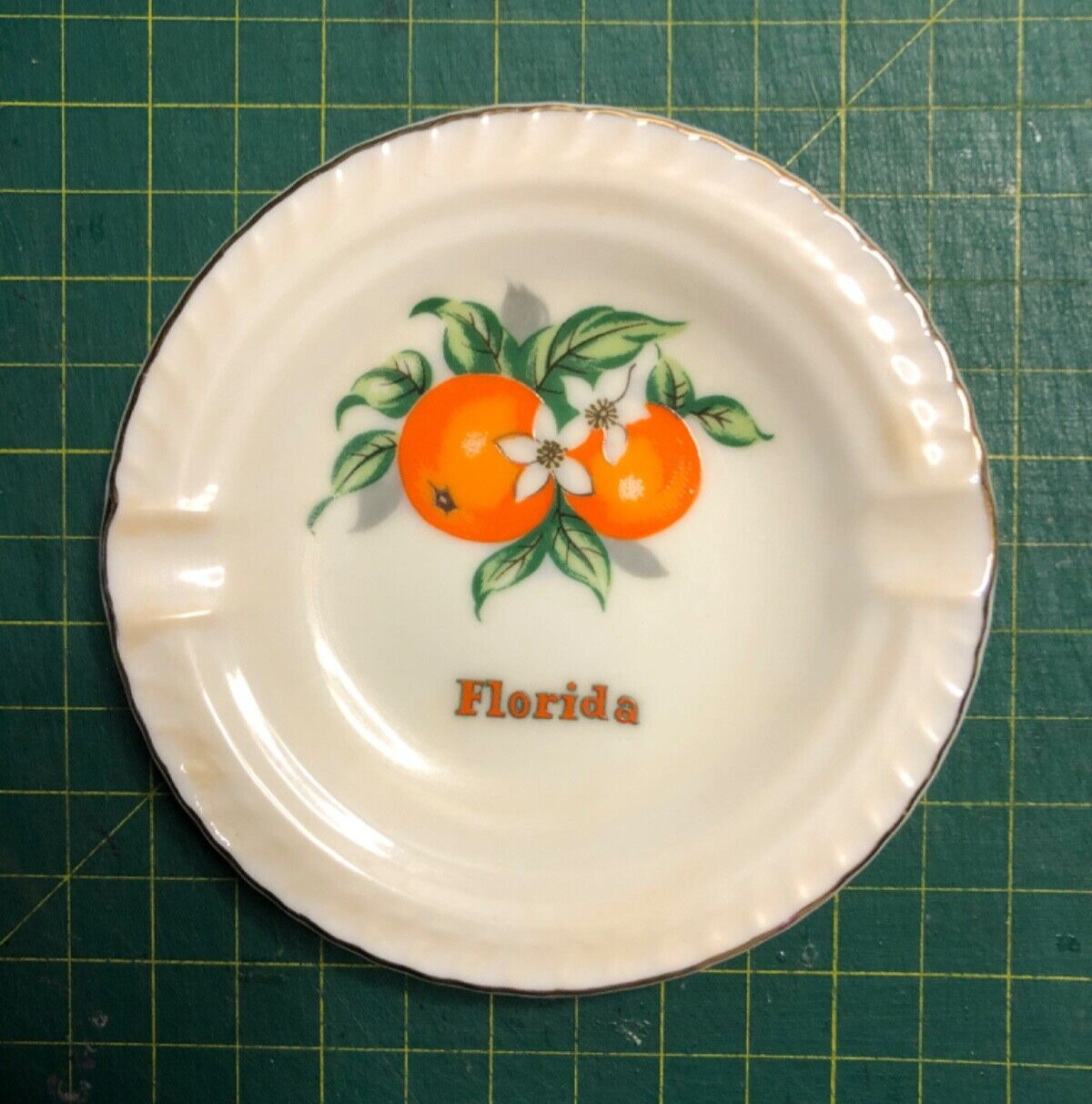Vintage Florida 4.75