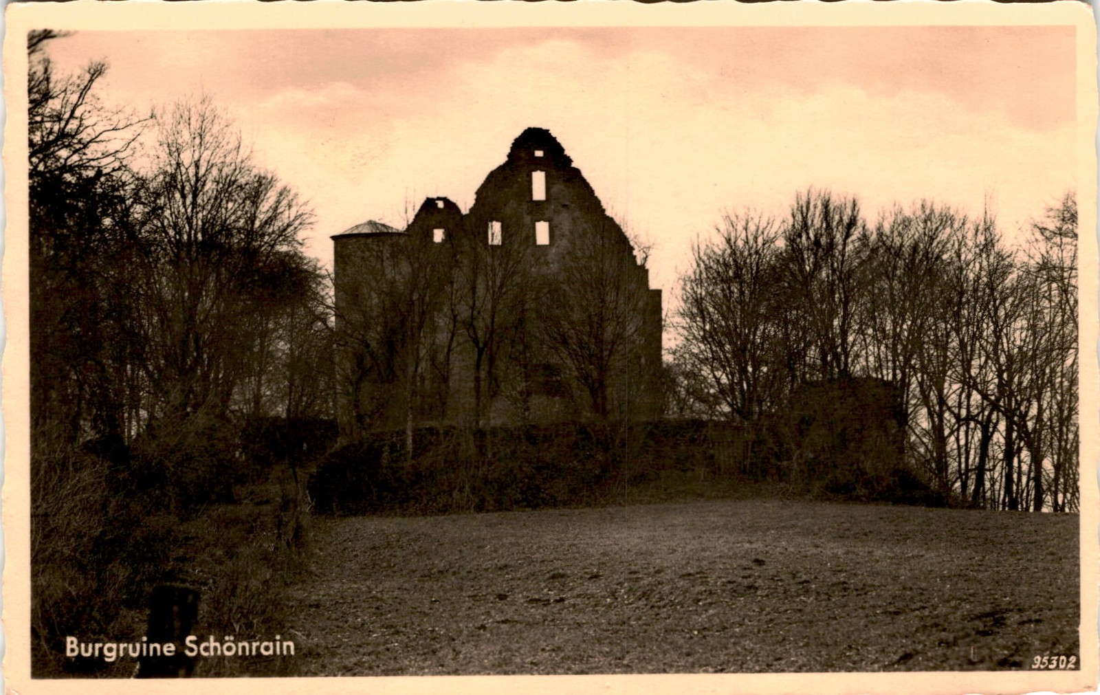 Burgruine Schönrain, 95302, Willi Hofmann, Gemünd Postcard