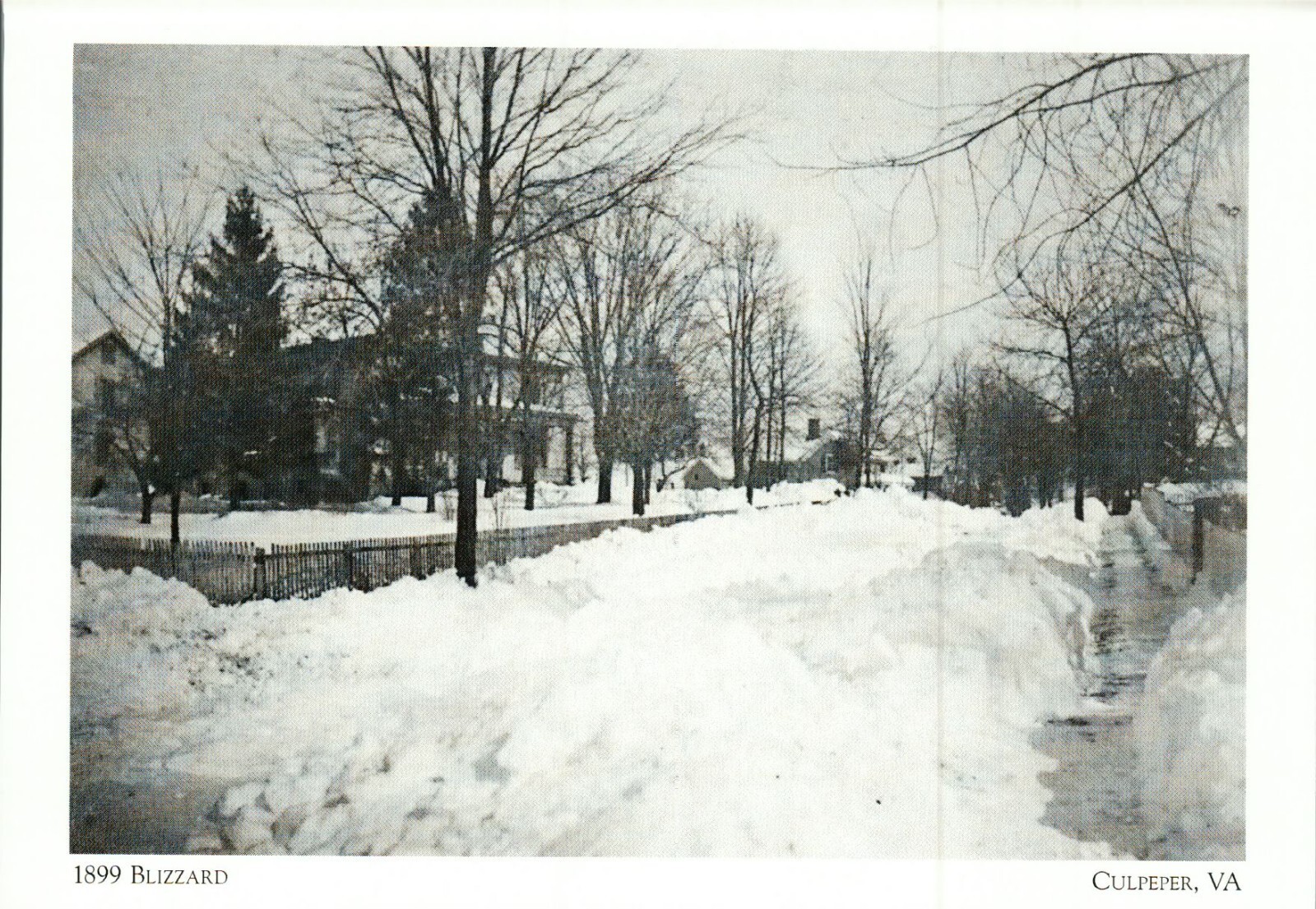 *Postcard-\