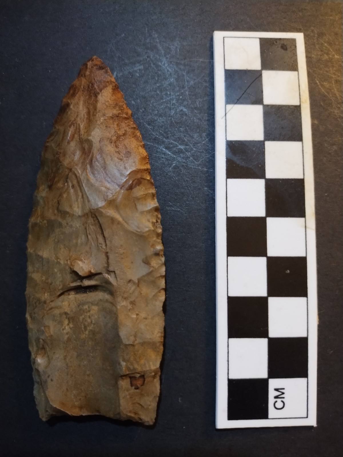 Beautiful Authentic Alabama Fluted Clovis Point 3 7/8\ Beautiful Authentic Alabama Fluted Clovis Point 3 7/8\