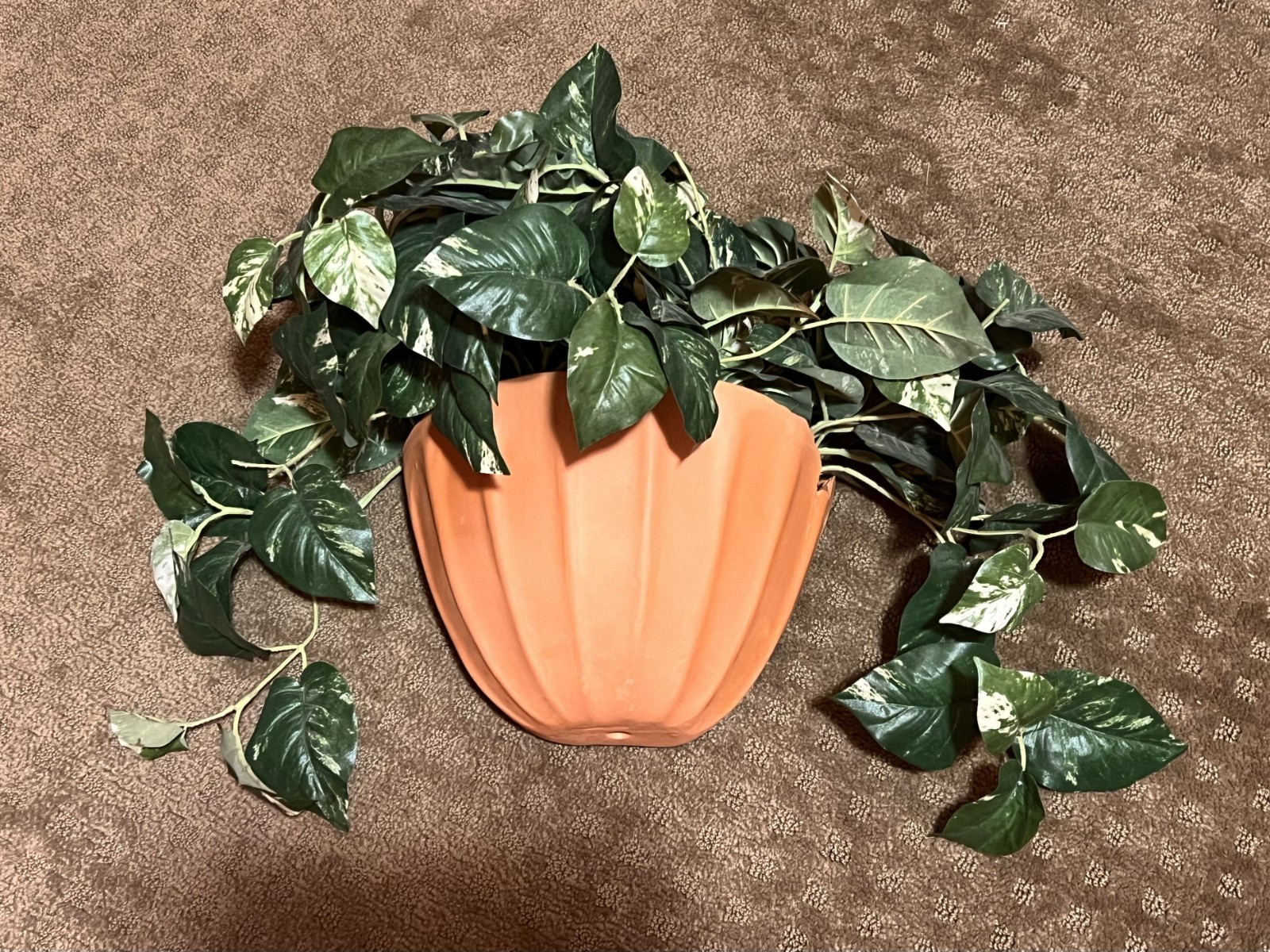 VERY RARE Chuck E. Cheese's Wall Planter 2000s Retro Arcade CEC