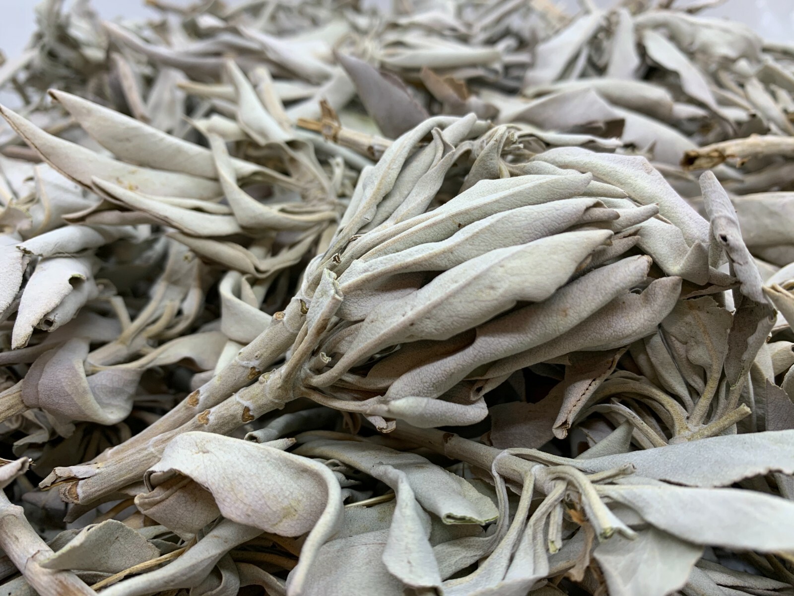 Loose White Sage Smudge Leaves & Clusters, California White Sage Leaves,Bulk Lot Loose White Sage Smudge Leaves & Clusters, California White Sage Leaves,Bulk Lot