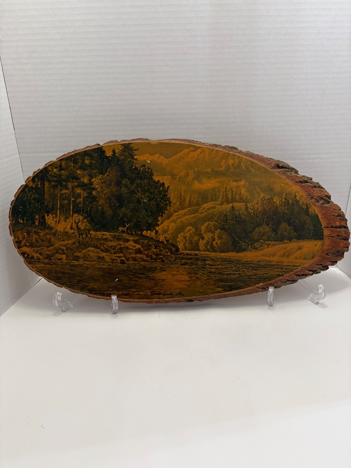 Vintage Great Smoky Mts Deer Mountain Scene Live Edge Wood Slice Wall Plaque 23