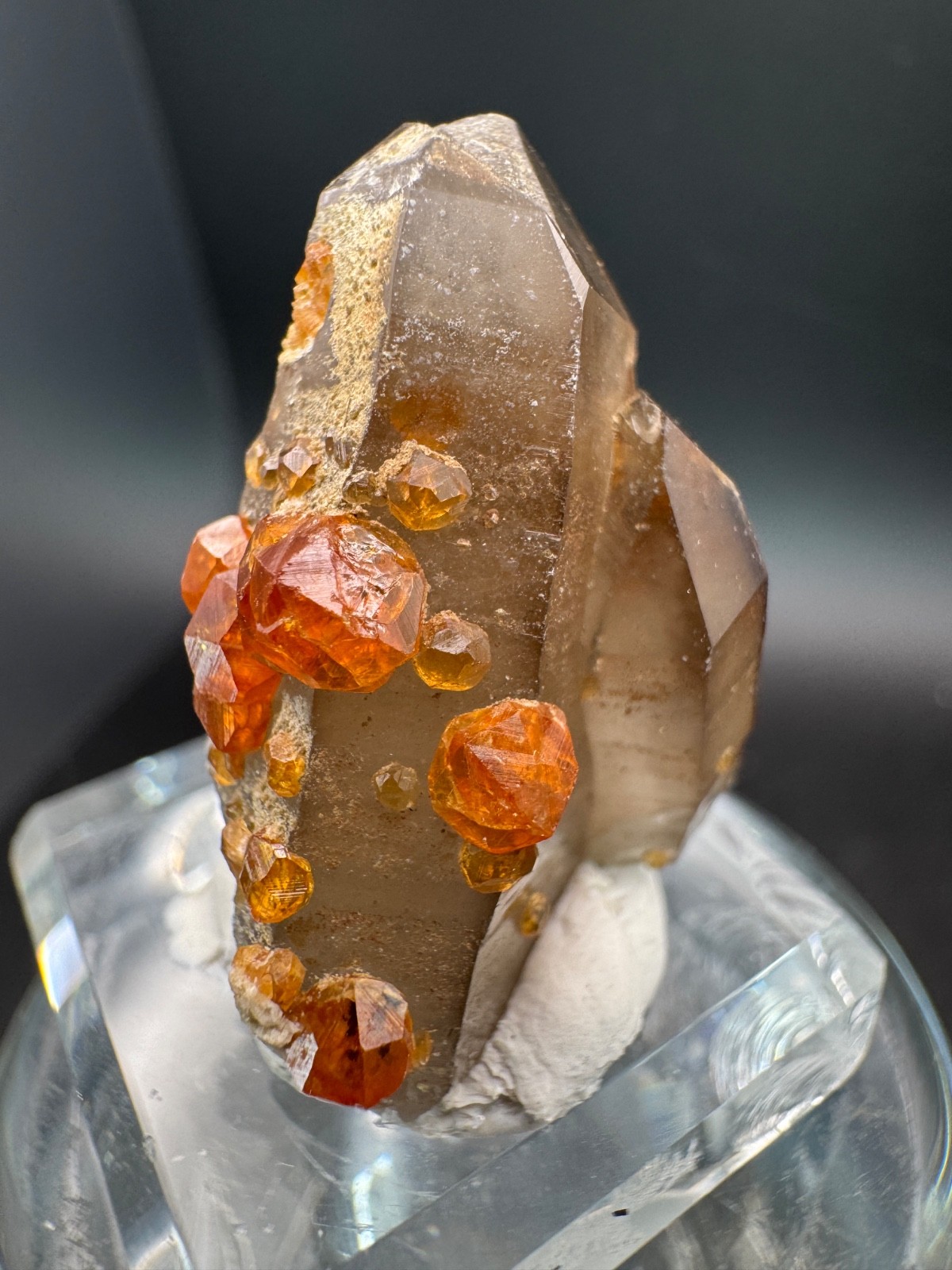 6851 Bright Orange Garnets on and in Smoky Quartz Point  Fu Jian 12g