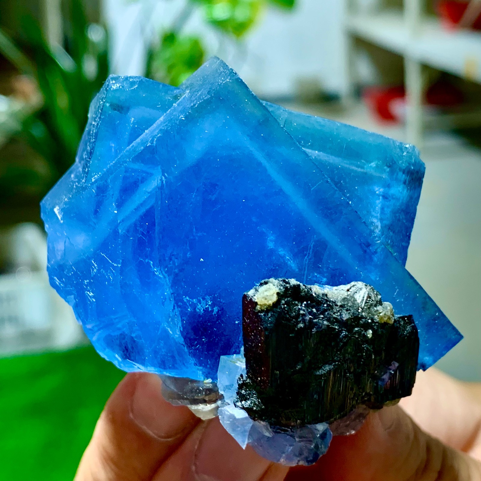 208g Natural blue cubic fluorite mineral +black crystal sample/Yaogangxian