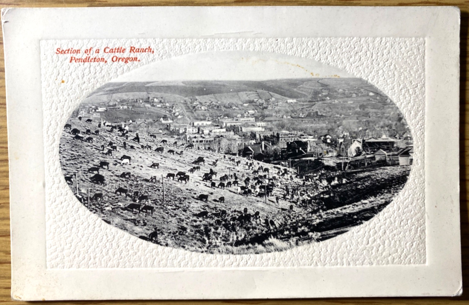 1910 ca. PENDLETON, OREGON antique photo postcard SECTION OF CATTLE RANCH