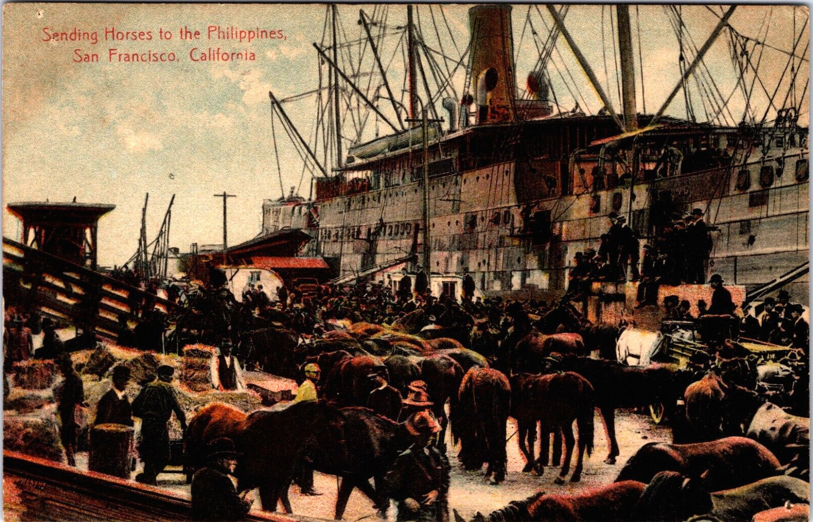 Postcard San Francisco Sending Horses to the Philippines, 1909 Cancel German Mfg