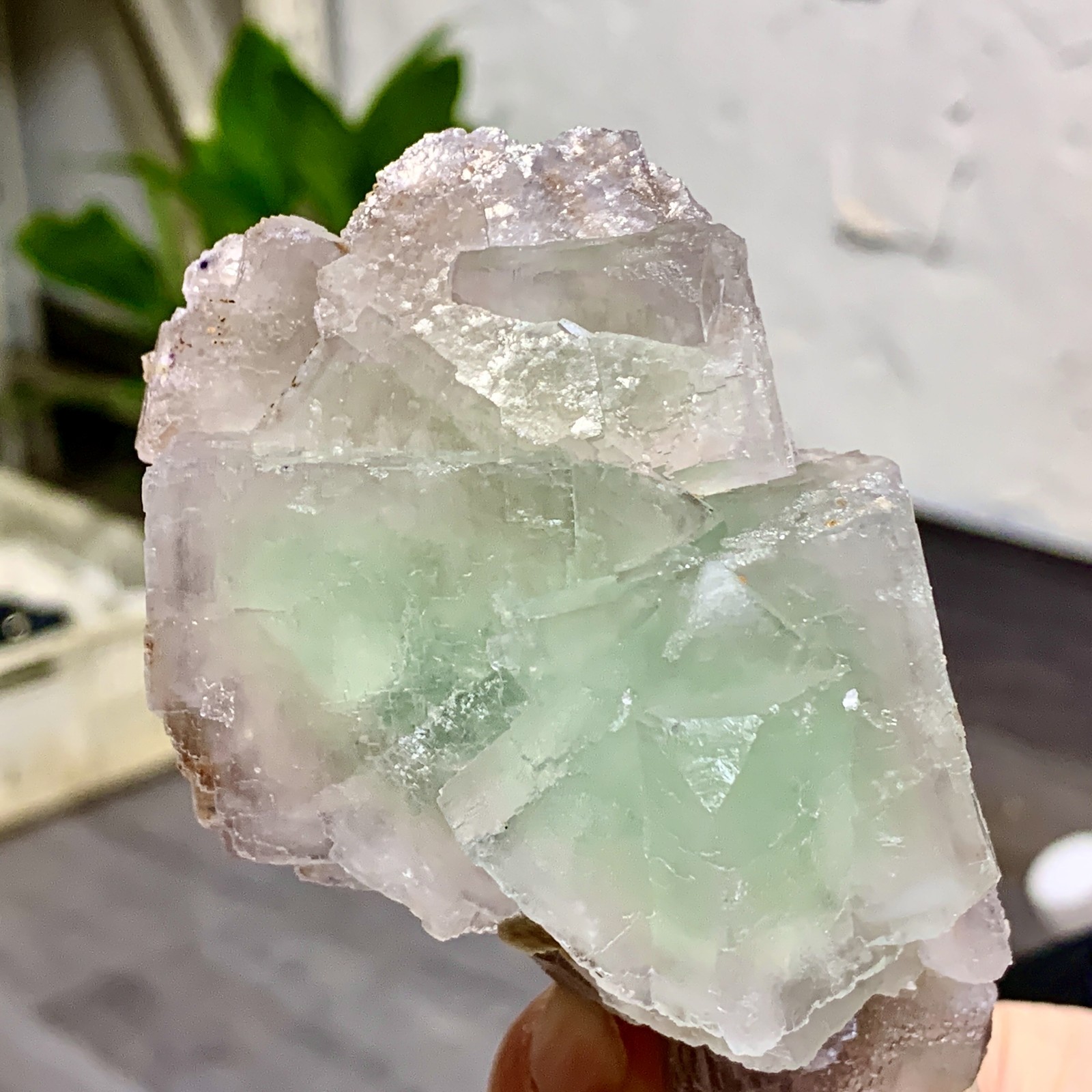250G Rare transparent green purple cubic fluorite mineral crystal sample/China
