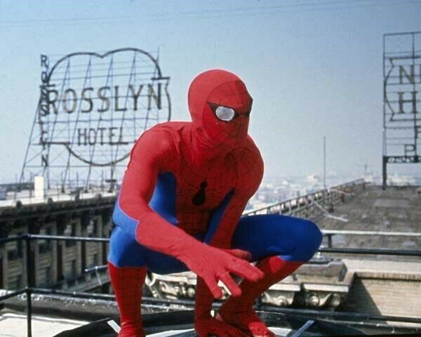 Amazing Spider-Man 1977 TV Nicholas Hammond as Spidey on rooftop 11x17 poster