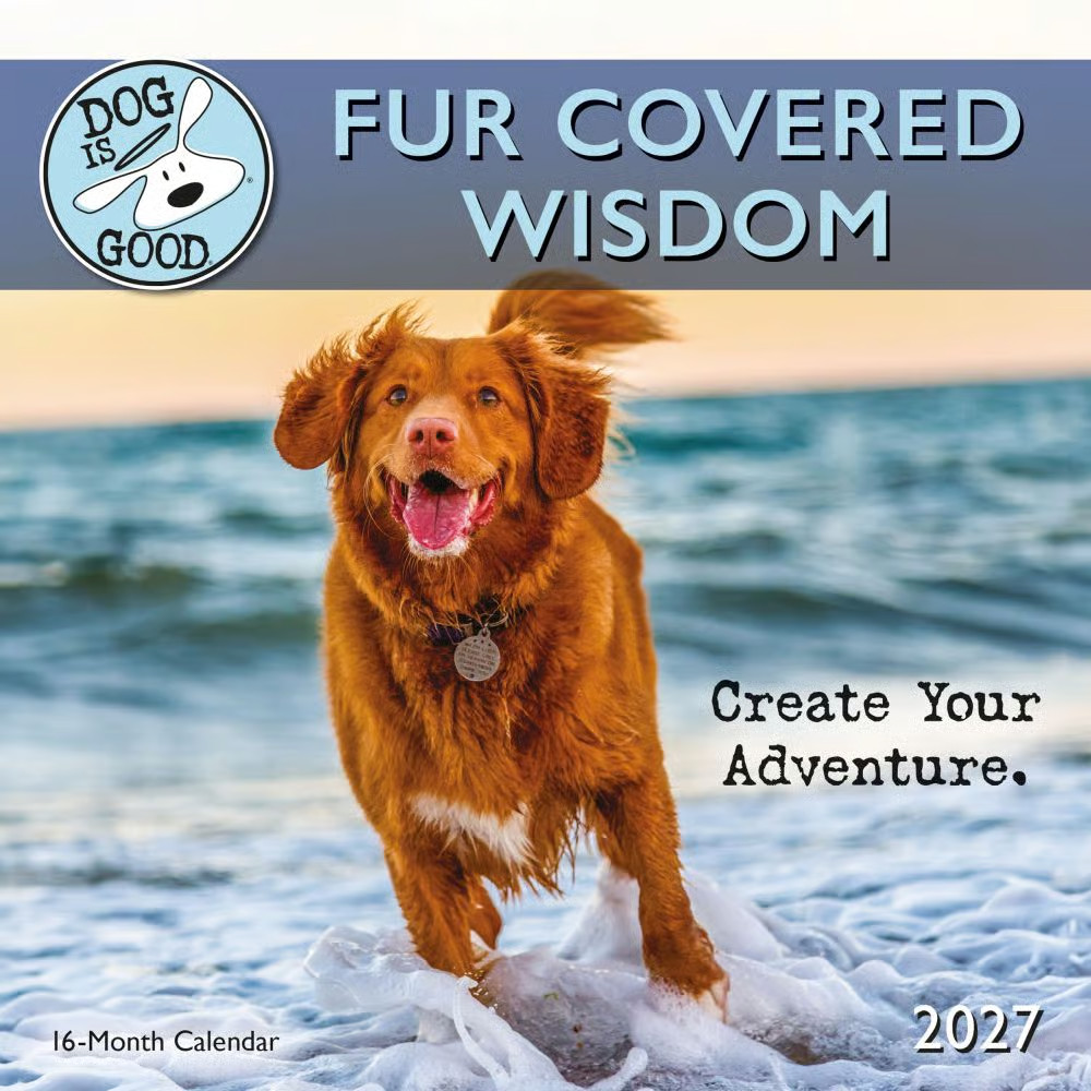 Carousel Calendars, Dog is Good Fur Covered Wisdom 2027 Mini Wall Calendar Carousel Calendars, Dog is Good Fur Covered Wisdom 2027 Mini Wall Calendar