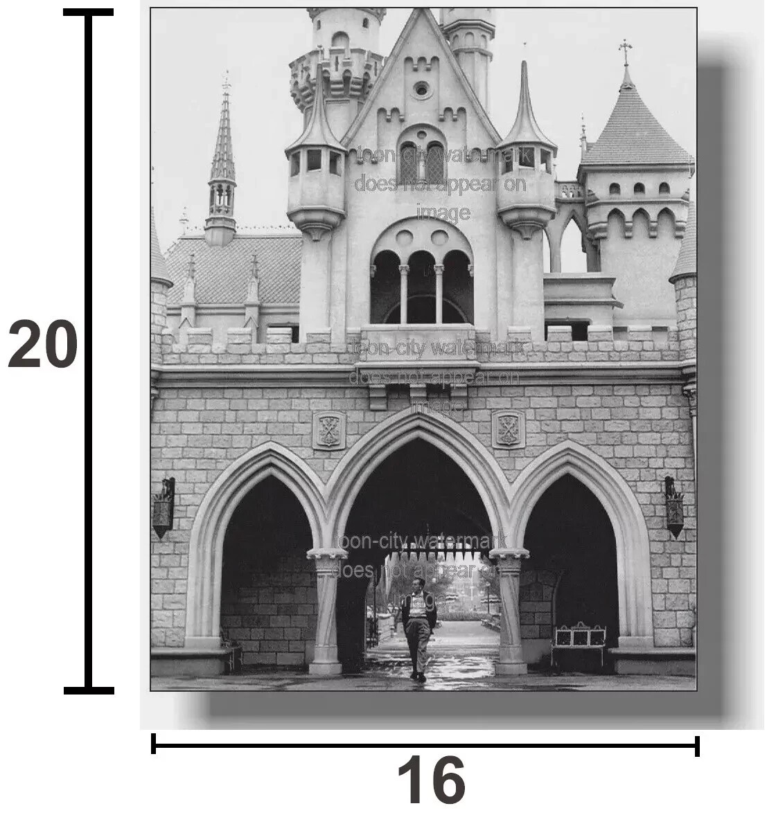 🚩❌ GIANT SIZE 16x20 Walt Disney Disneyland Sleeping Beauty Castle 1955 NEW