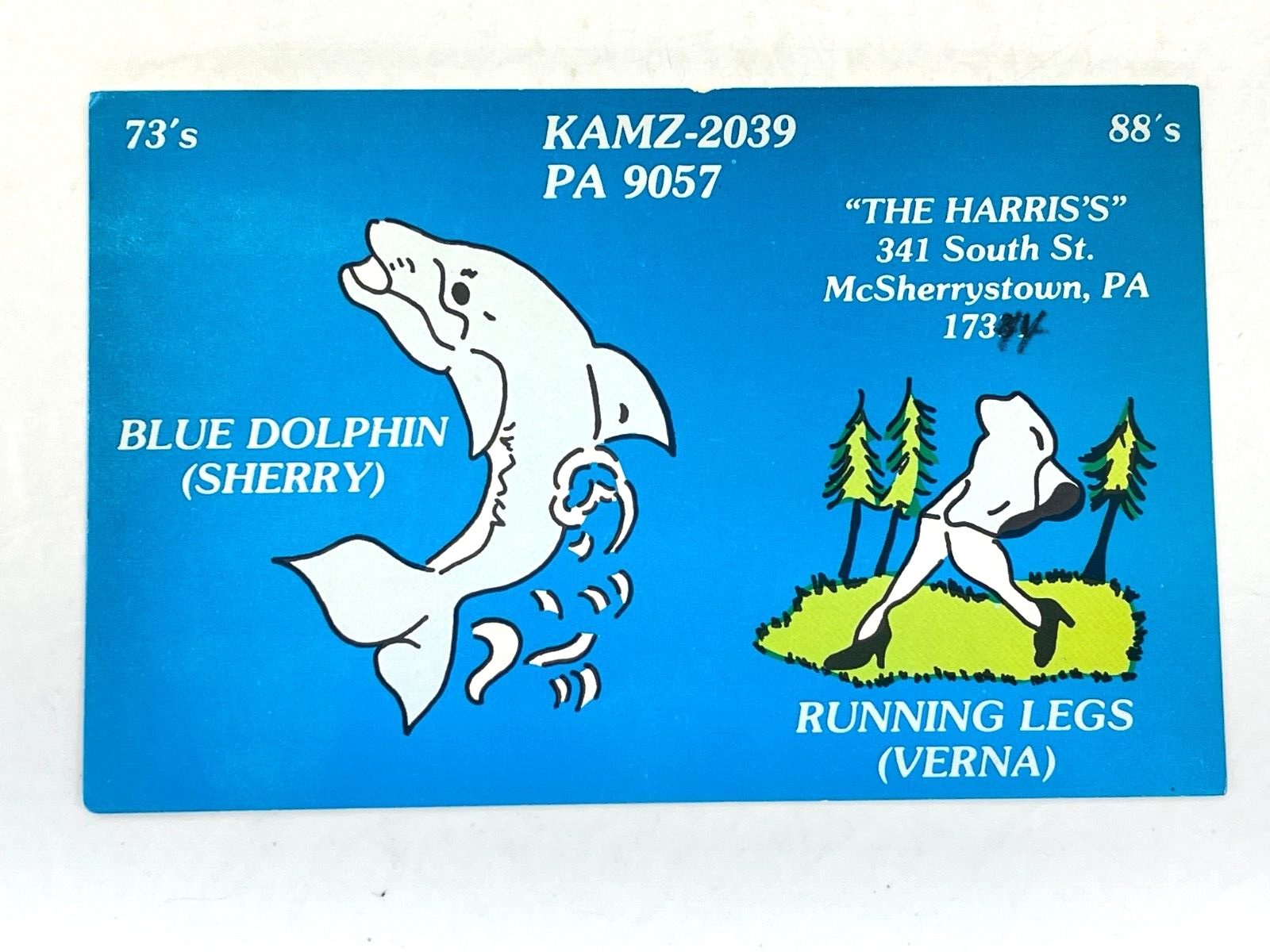 Vintage QSL Card Ham CB Amateur Radio Blue Dolphin Sherry Running Legs Verna PA