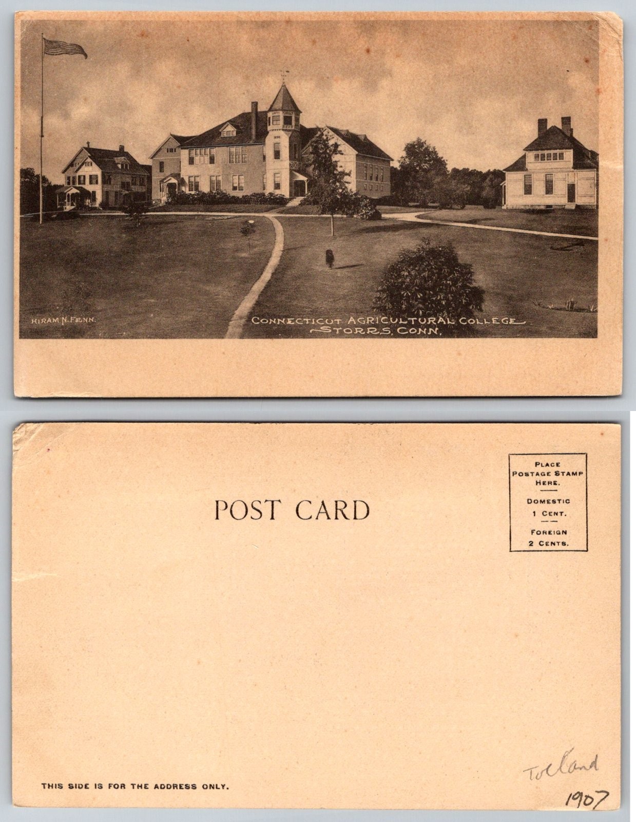 Standard Connecticut Agricultural College Storrs Connecticut Postcard