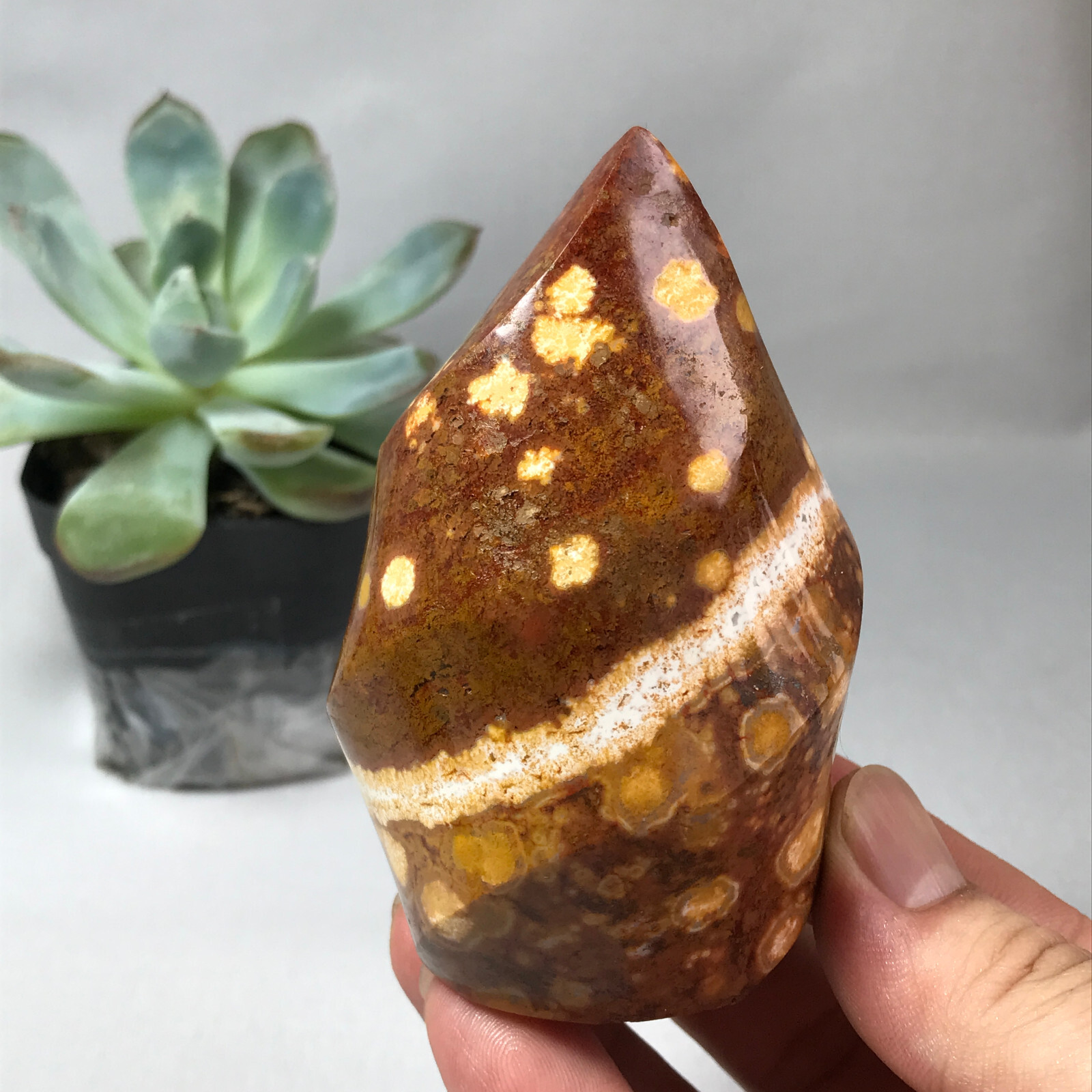 311g TOP MADAGASCAR NATURAL OCEAN JASPER QUARTZ CRYSTAL Freeform The torch g6626