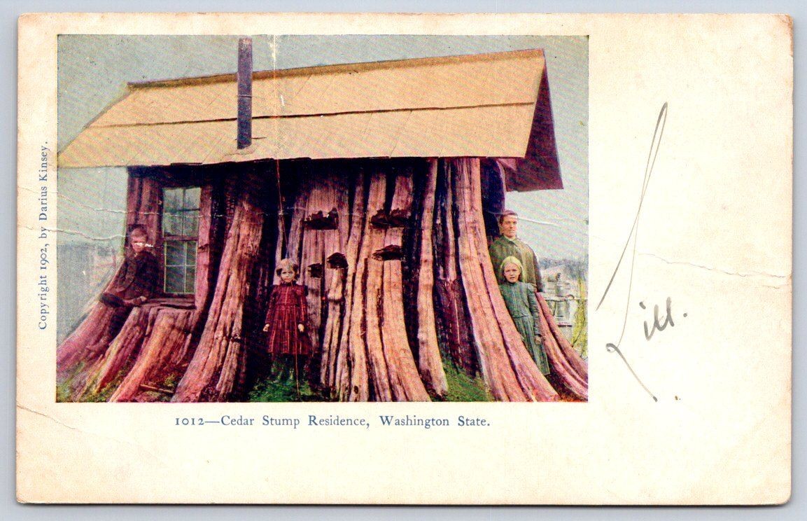 Antique Washington Postcard SEATTLE Cedar Stump Residence 1906 Antique Washington Postcard SEATTLE Cedar Stump Residence 1906