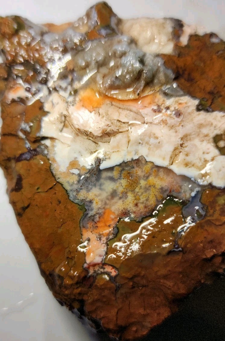 Priday Plume Agate - Museum Quality Rare - Beautiful Colorful Plumes. (148 gram) Priday Plume Agate - Museum Quality Rare - Beautiful Colorful Plumes. (148 gram)