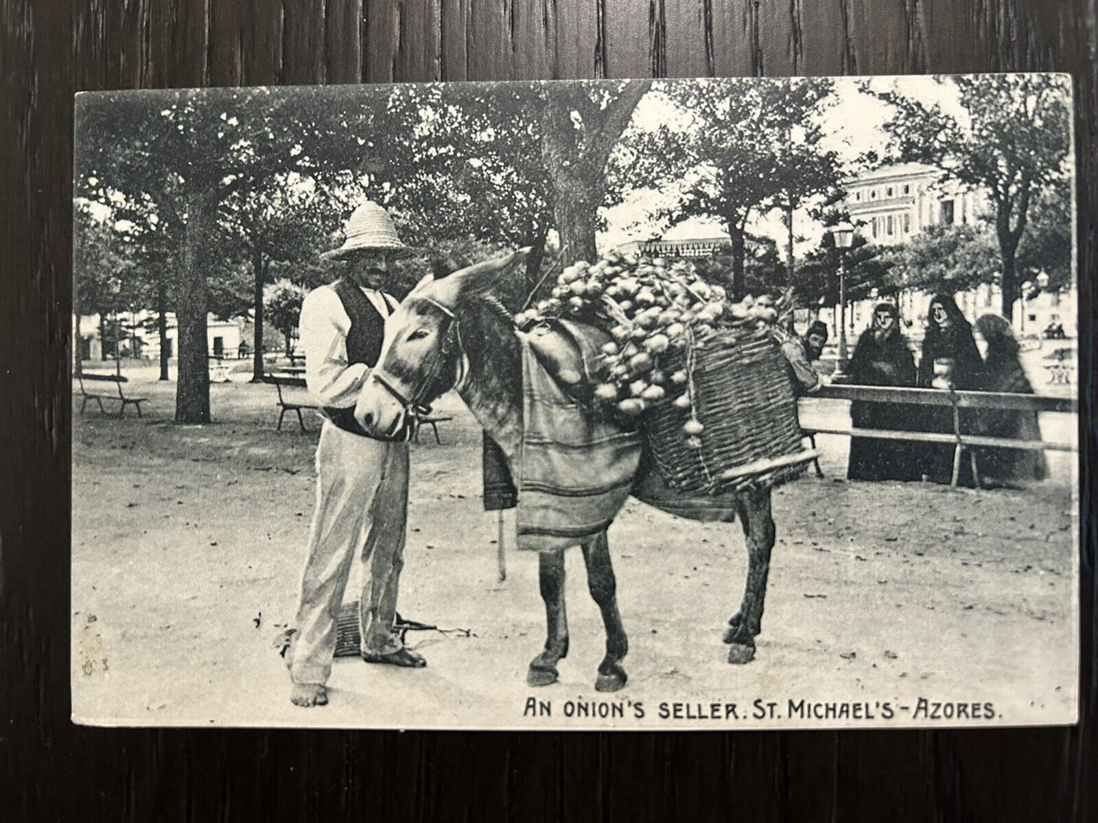 Azores - Donkey / Onion Seller 1910s