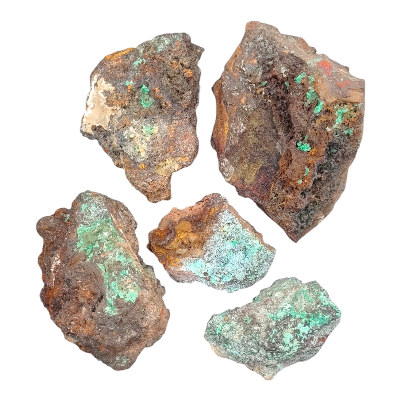 2 lbs Brochantite, Conichalcite, Rosasite 5-Piece Set - Ojuela Mine L161 2 lbs Brochantite, Conichalcite, Rosasite 5-Piece Set - Ojuela Mine L161