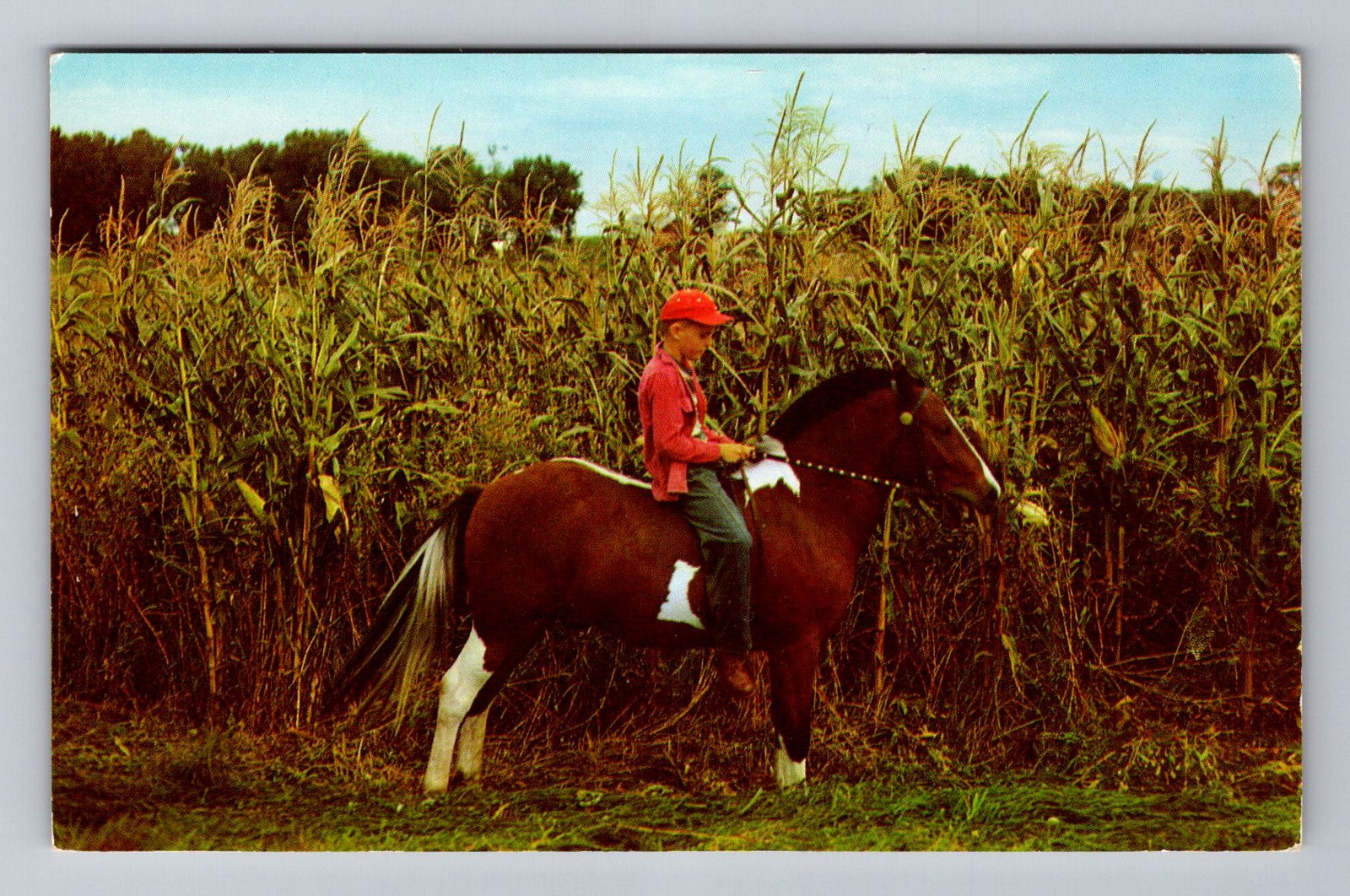 Milwaukee WI-Wisconsin, Boy on Horse, Vacationland, PC Vintage c1957 Postcard
