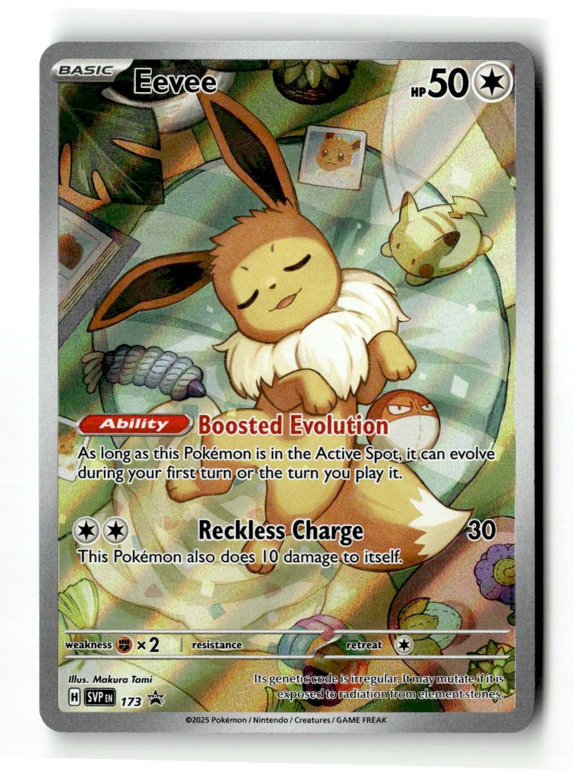 Eevee Holofoil NM EN [SVP - 173] Pokemon