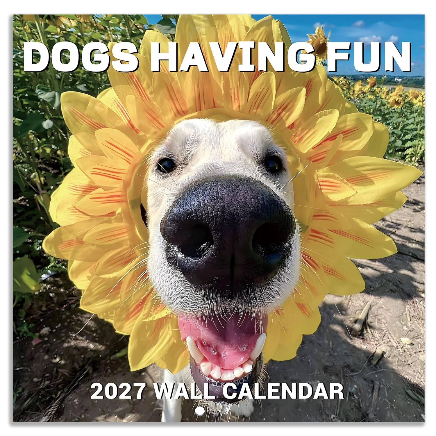 2027 Wall Calendar - JAN 2027 - DEC 2027, Funny Dog Calendar 2027 2027 Wall Calendar - JAN 2027 - DEC 2027, Funny Dog Calendar 2027