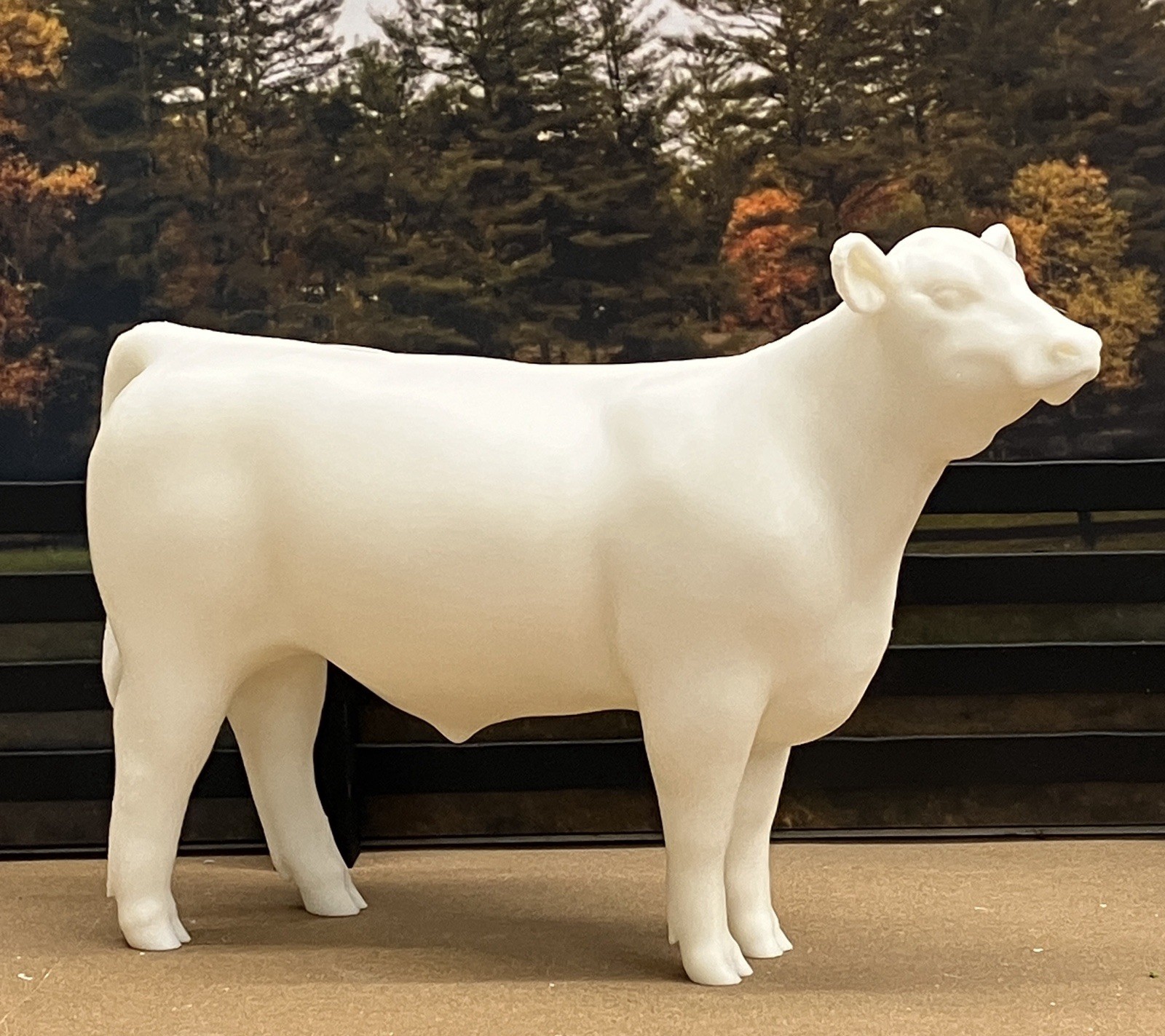 1:9 Traditional Show Steer Clubby Calf Model 3D Print For Breyer Horses Cattle