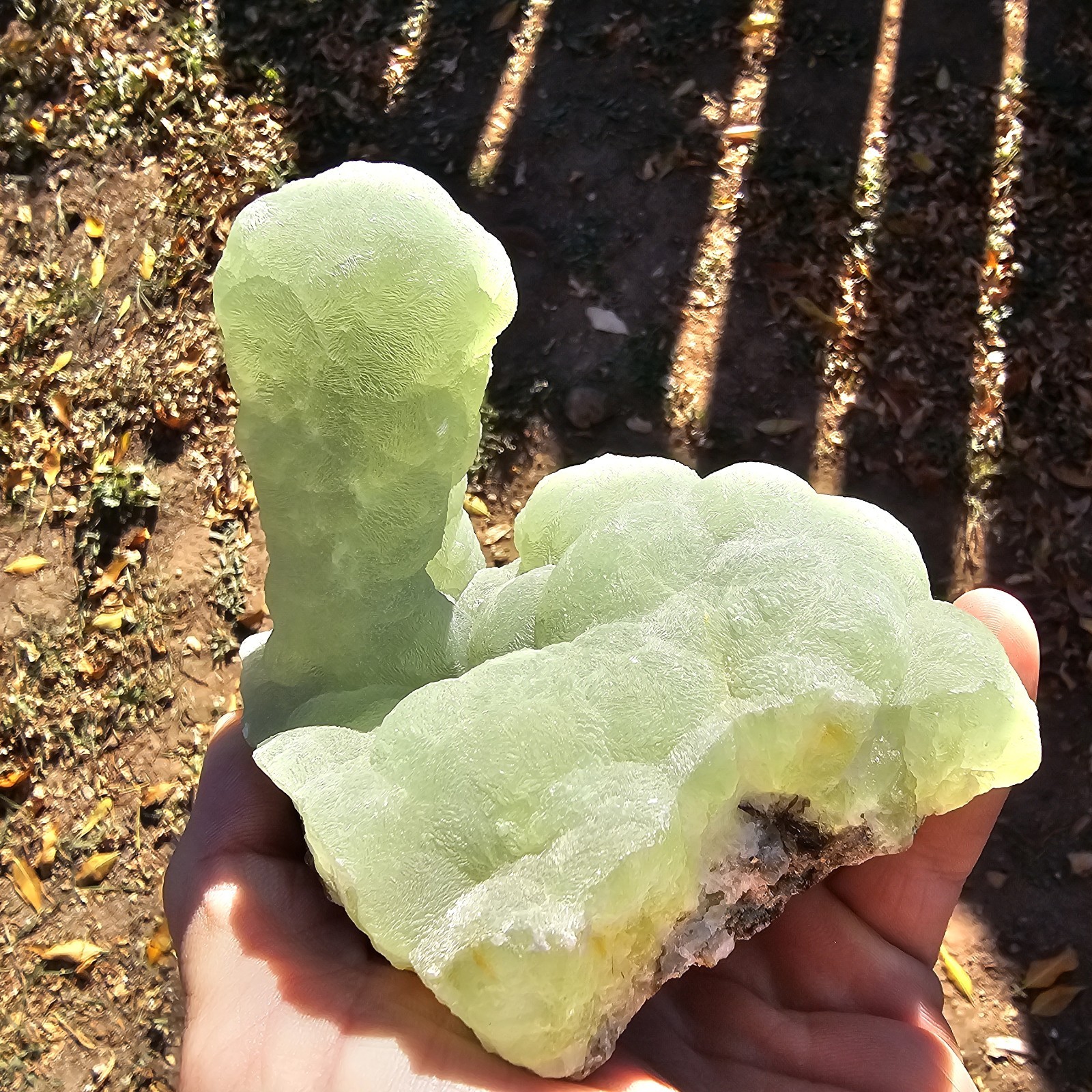 ☆World Class Prehnite Stalactite \