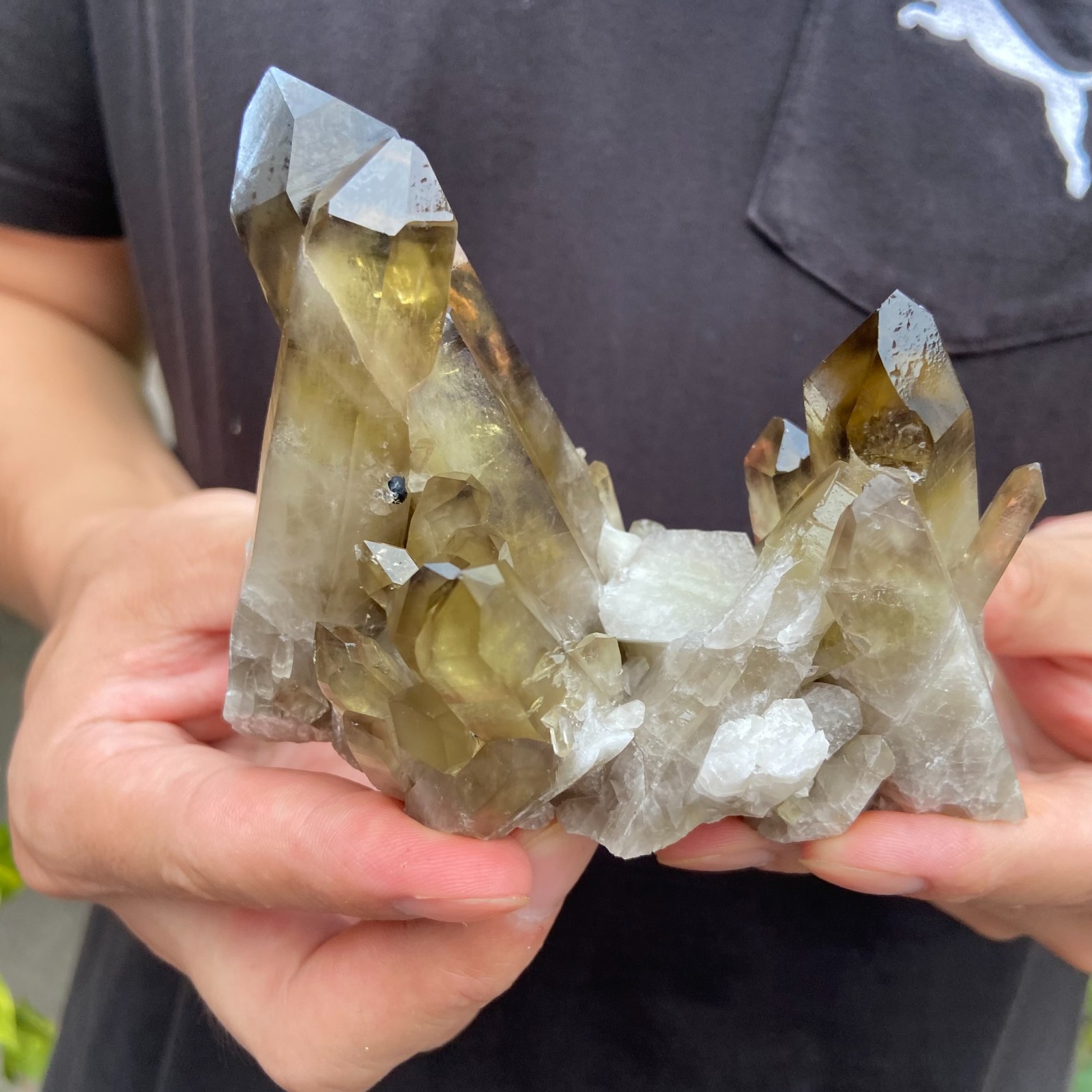 0.9lb Natural Smoky BLACK Quartz Crystal Cluster Raw Mineral Specimen