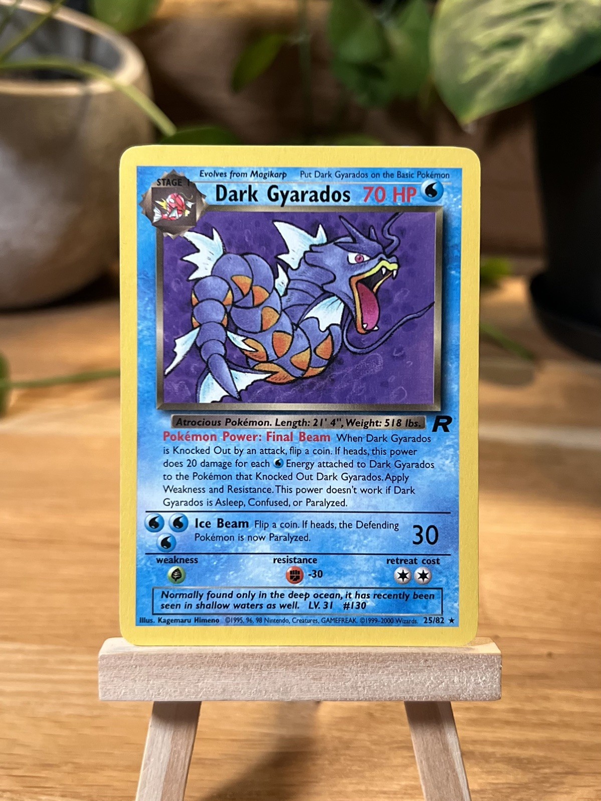 Dark Gyarados 25/82 Team Rocket Set Rare WOTC Vintage Pokemon Card 2000
