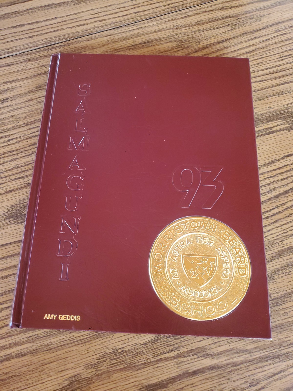 Vintage 1993 Morristown Beard School Yearbook New Jersey 
