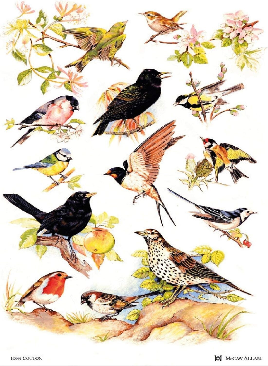 Samuel Lamont, \'British Birds\' Kitchen/Tea Towel