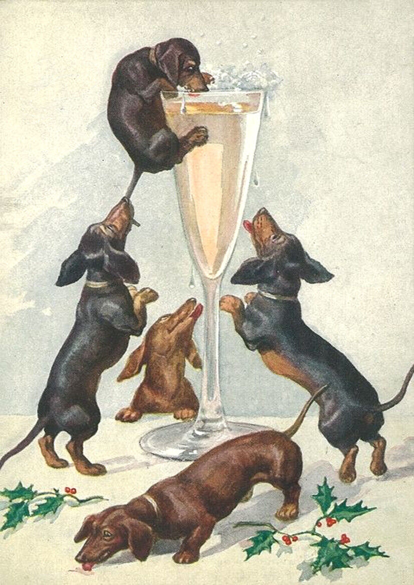 DACHSHUND CHARMING DOG CHRISTMAS NOTE CARD NAUGHTY DOGS WITH GLASS OF CHAMPAGNE